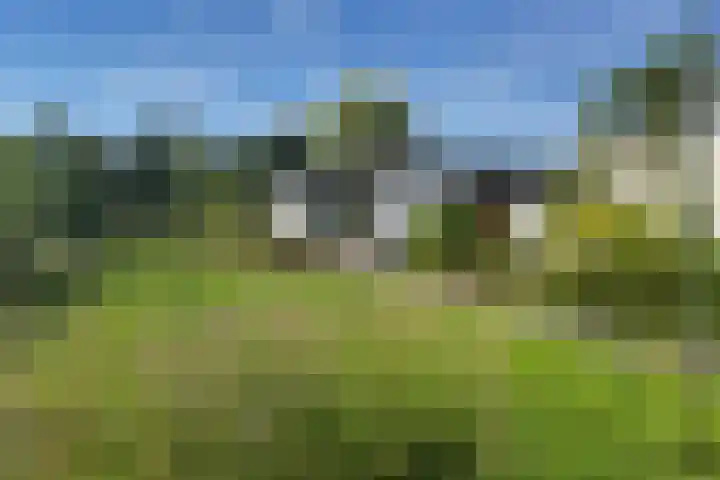 Dreef 12 Well thumbnail 35