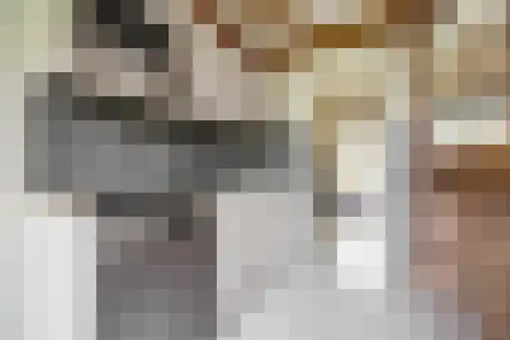 Dreef 12 Well thumbnail 9