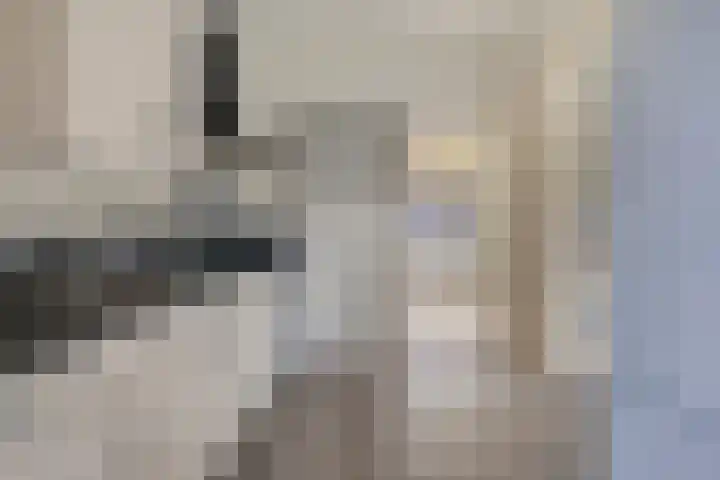 Dreef 14 Ovezande thumbnail 12