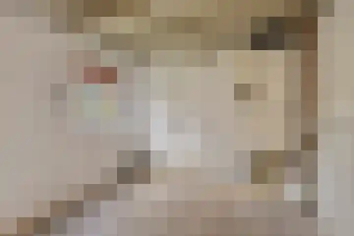 Dreef 14 Ovezande thumbnail 17