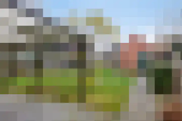 Dreef 14 Ovezande thumbnail 7
