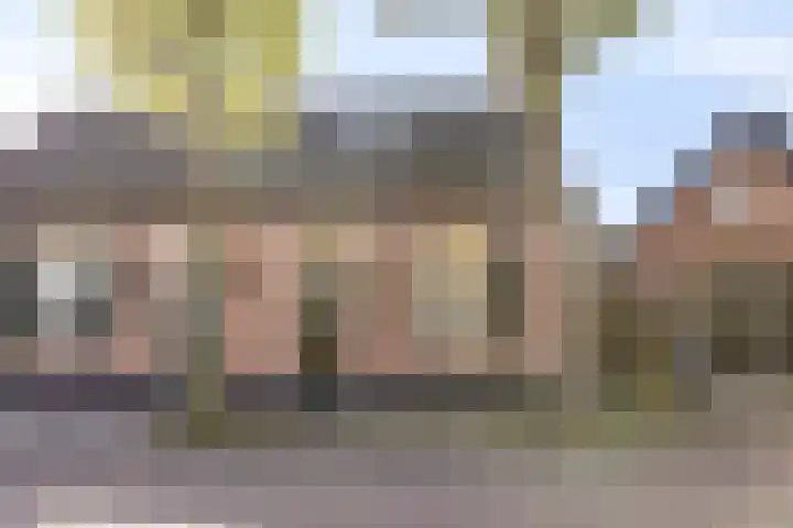 Dreef 15 Made thumbnail 4