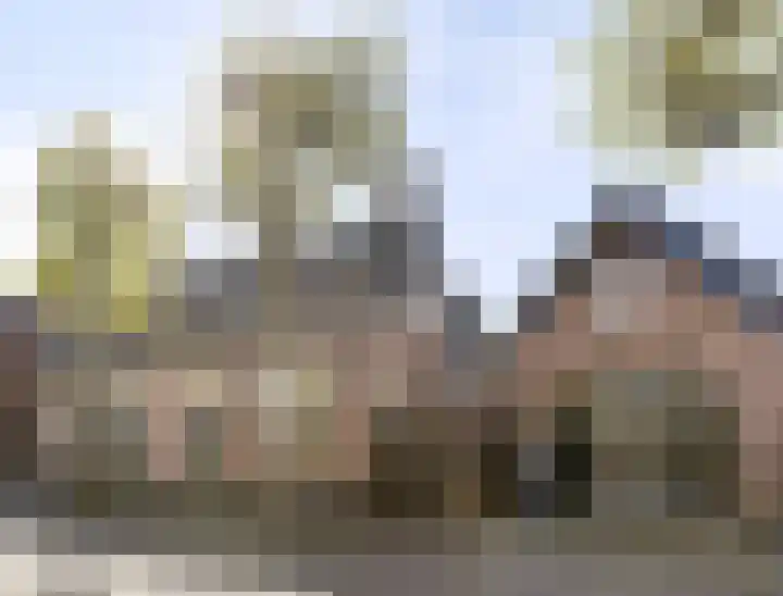 Dreef 15 Made thumbnail 43