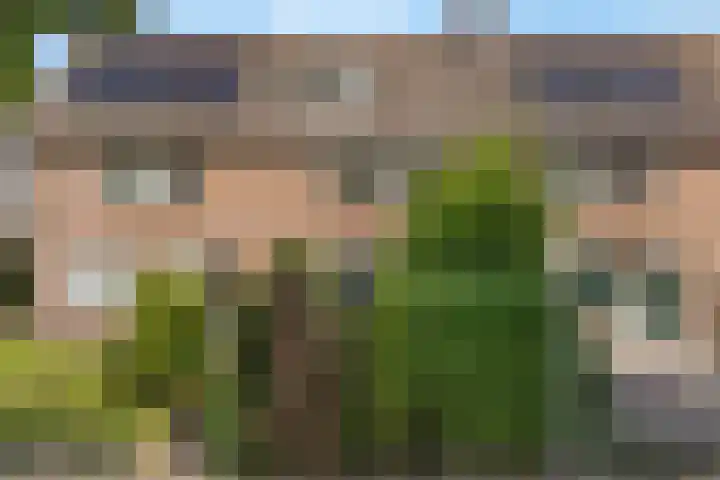 Dreef 17 Leersum