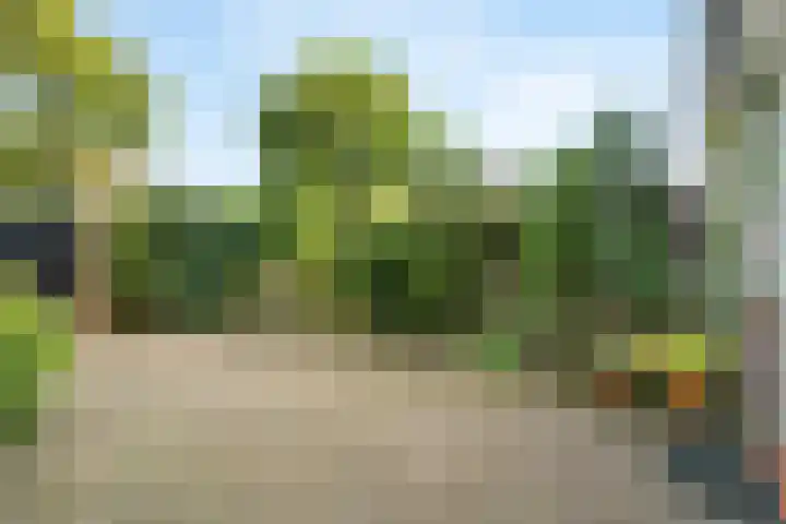 Dreef 17 Leersum thumbnail 15