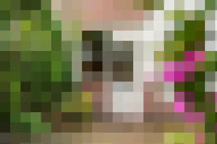 Dreef 17 Leersum thumbnail 16