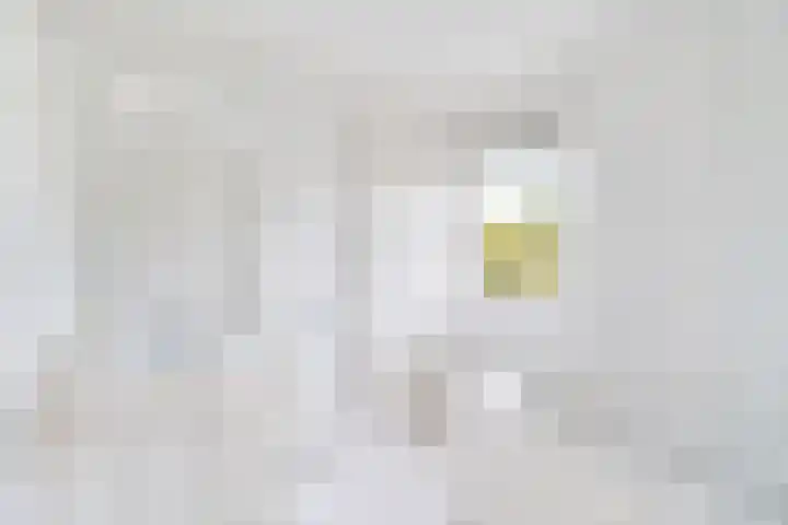 Dreef 17 Leersum thumbnail 24