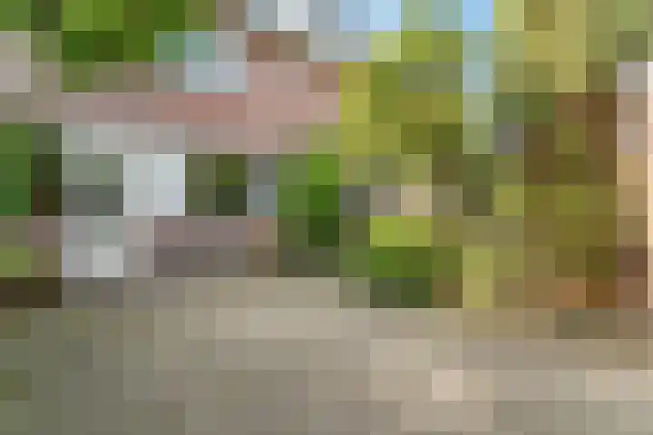 Dreef 17 Leersum thumbnail 34