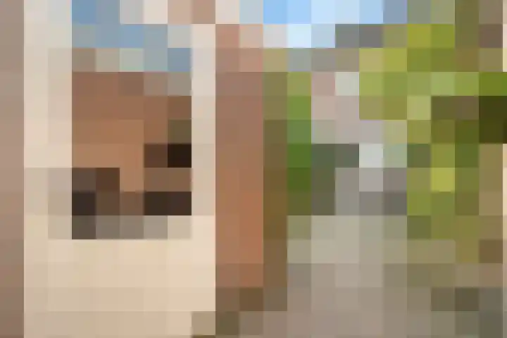 Dreef 17 Leersum thumbnail 35
