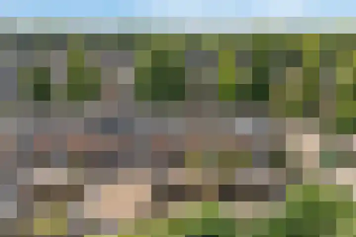 Dreef 17 Leersum thumbnail 39