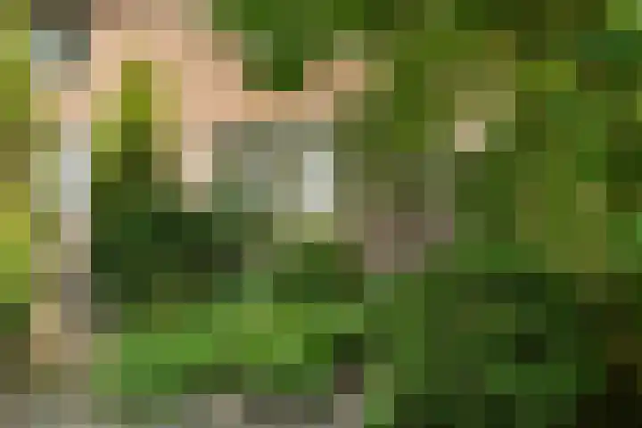 Dreef 17 Leersum thumbnail 4