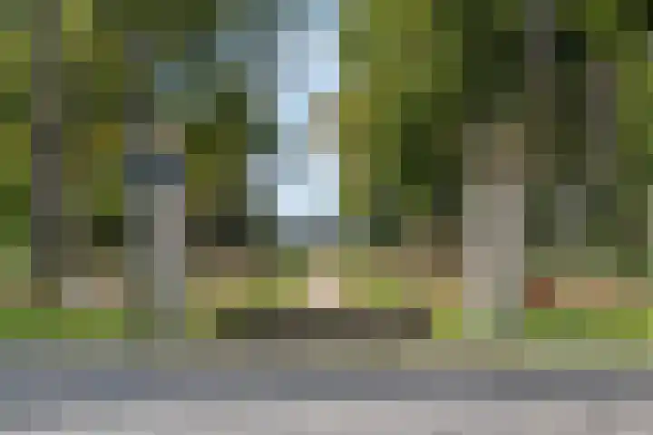 Dreef 17 Leersum thumbnail 40