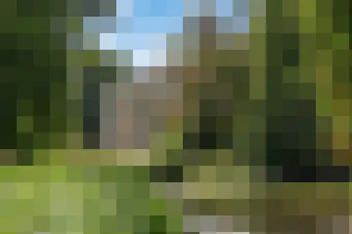Dreef 17 Leersum thumbnail 41