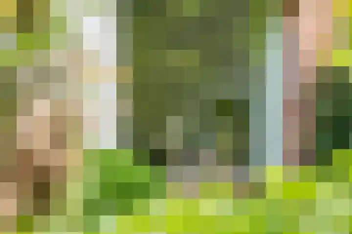 Dreef 17 Leersum thumbnail 7