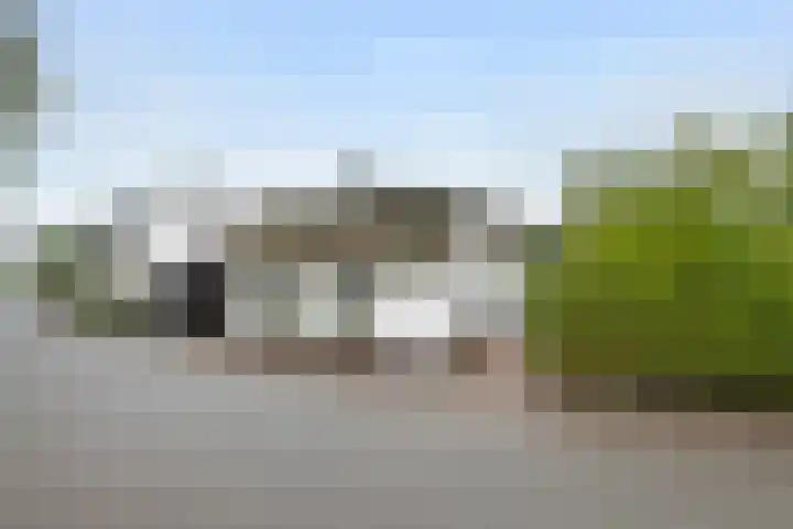 Dreef 19 Est