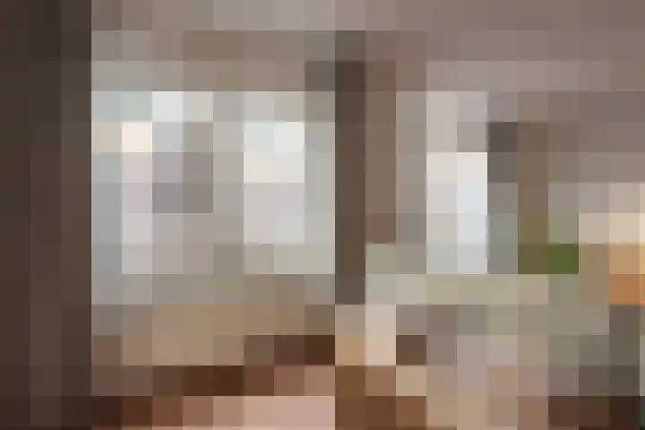 Dreef 2 0024 Haarlem thumbnail 17
