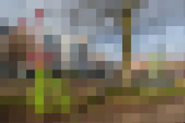 Dreef 2 0024 Haarlem thumbnail 7