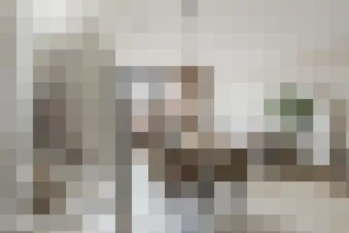 Dreef 2 b Kockengen thumbnail 19
