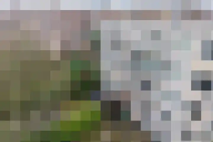 Dreef 2 b Kockengen thumbnail 28