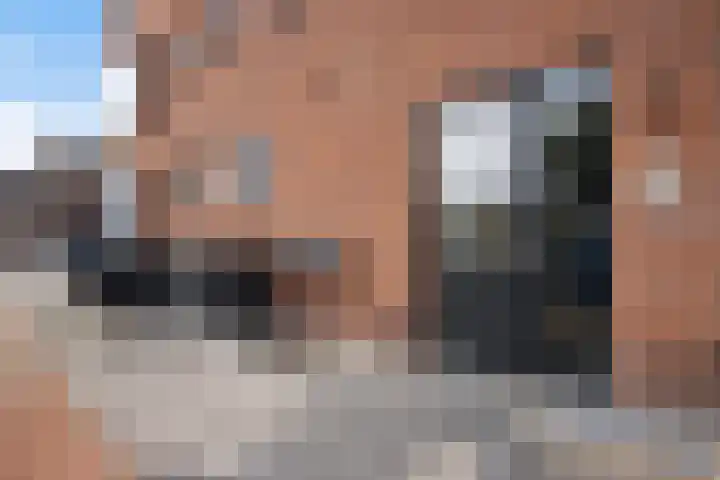 Dreef 2 b Kockengen thumbnail 28