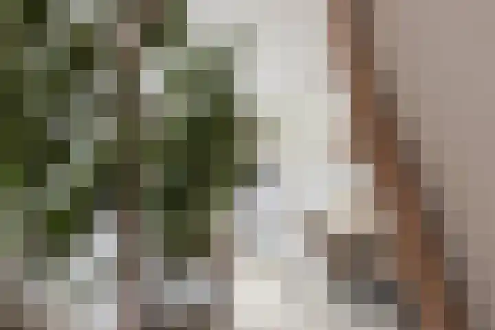 Dreef 2 b Kockengen thumbnail 7