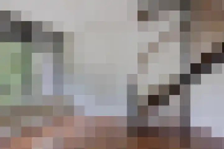 Dreef 22 Biddinghuizen thumbnail 12