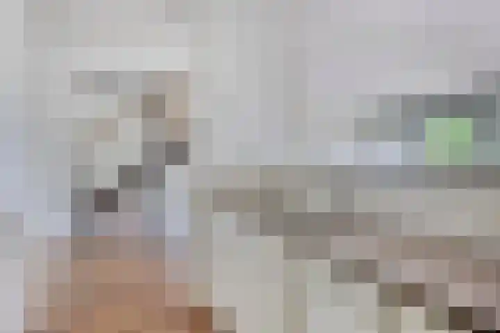 Dreef 22 Biddinghuizen thumbnail 13
