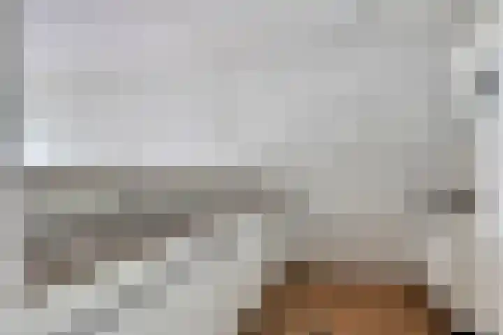Dreef 22 Biddinghuizen thumbnail 14
