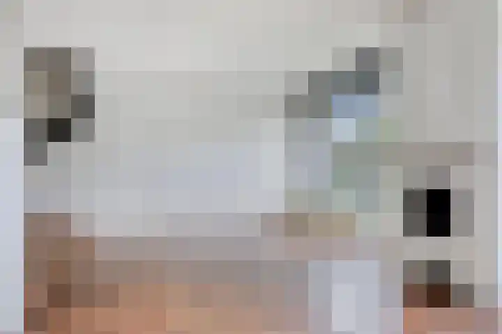 Dreef 22 Biddinghuizen thumbnail 17