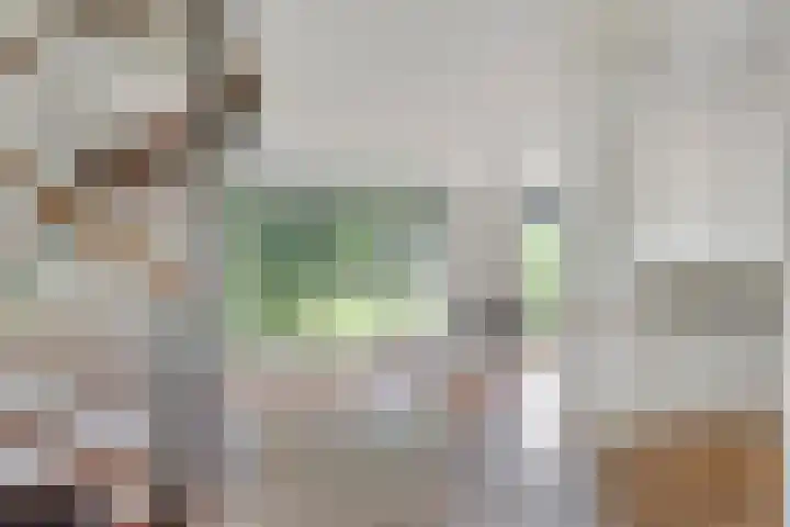 Dreef 22 Biddinghuizen foto 2