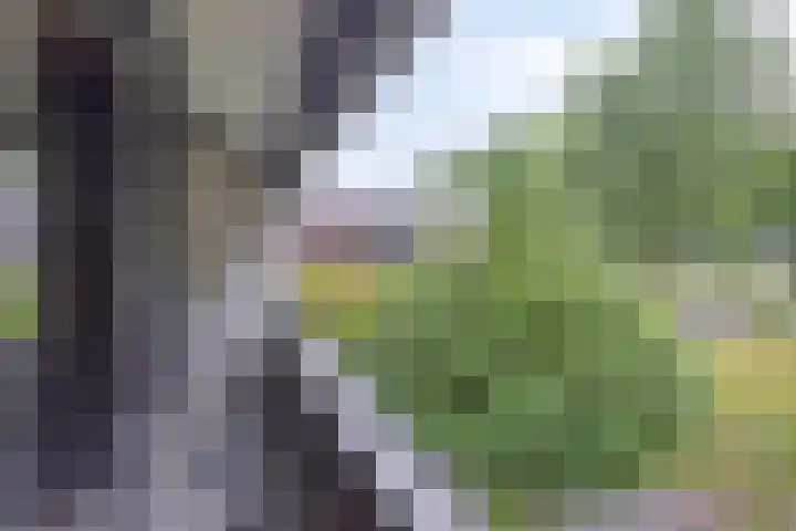 Dreef 22 Biddinghuizen thumbnail 24