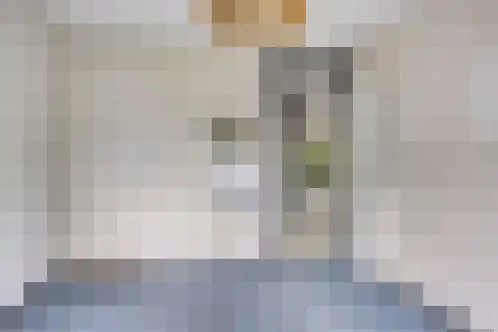 Dreef 22 Biddinghuizen thumbnail 26
