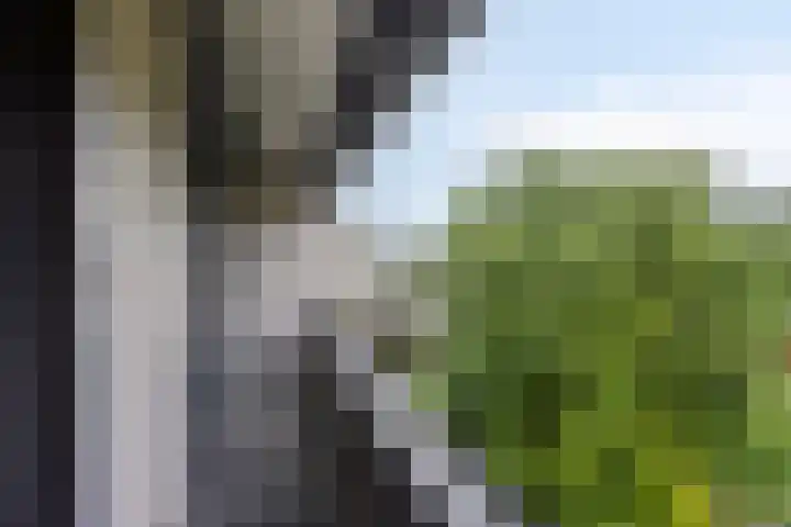 Dreef 22 Biddinghuizen thumbnail 27