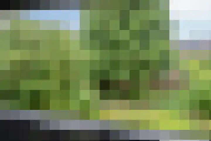 Dreef 22 Biddinghuizen thumbnail 30