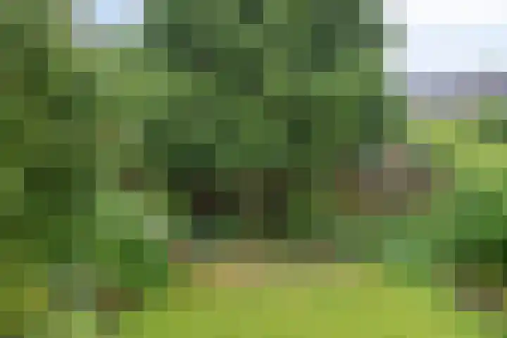 Dreef 22 Biddinghuizen thumbnail 42