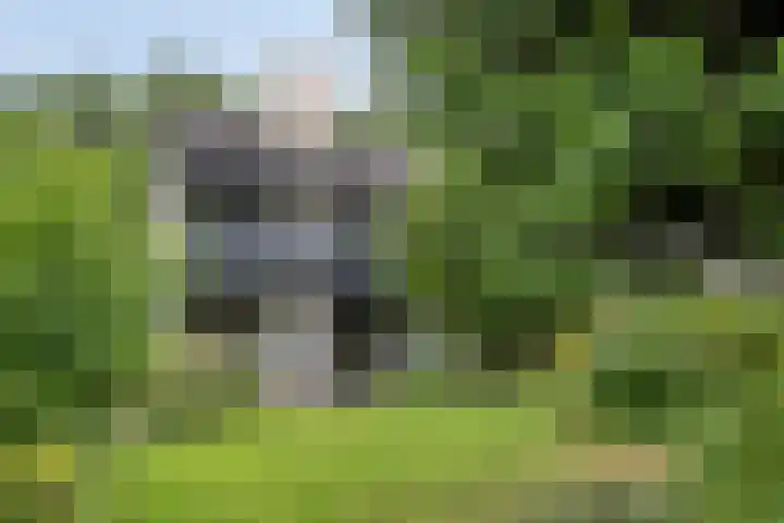 Dreef 22 Biddinghuizen thumbnail 43