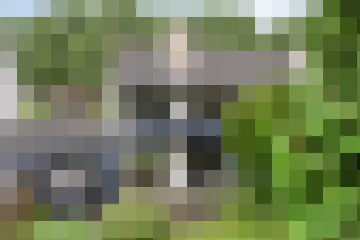 Dreef 22 Biddinghuizen thumbnail 44