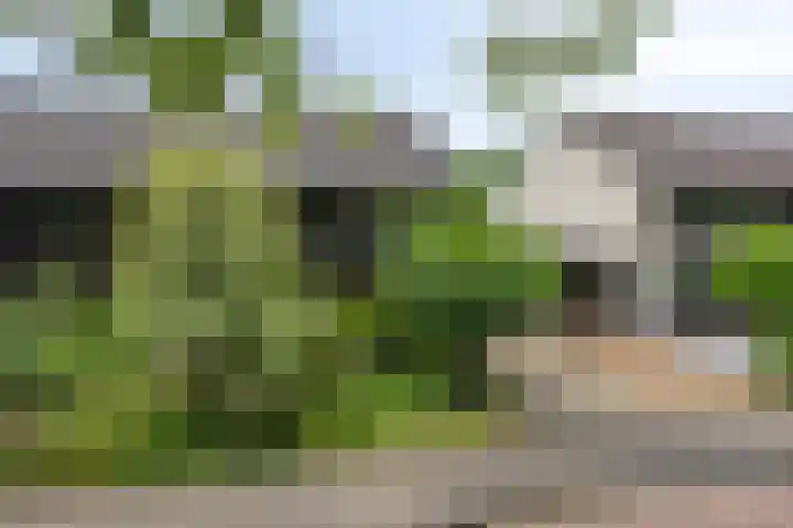 Dreef 22 Biddinghuizen thumbnail 45