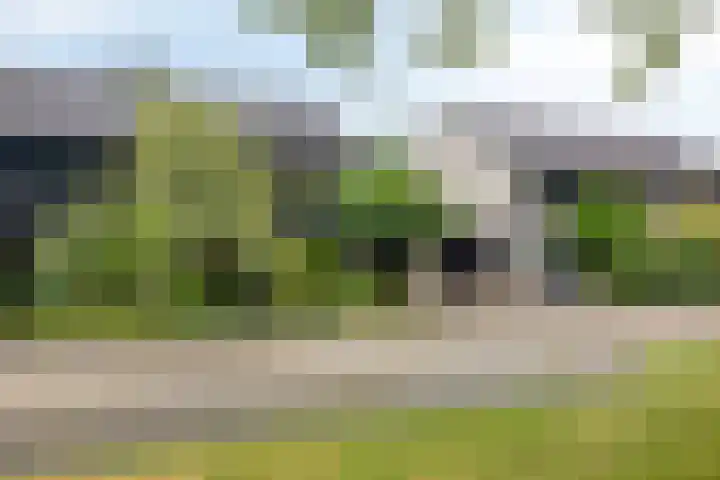 Dreef 22 Biddinghuizen thumbnail 46