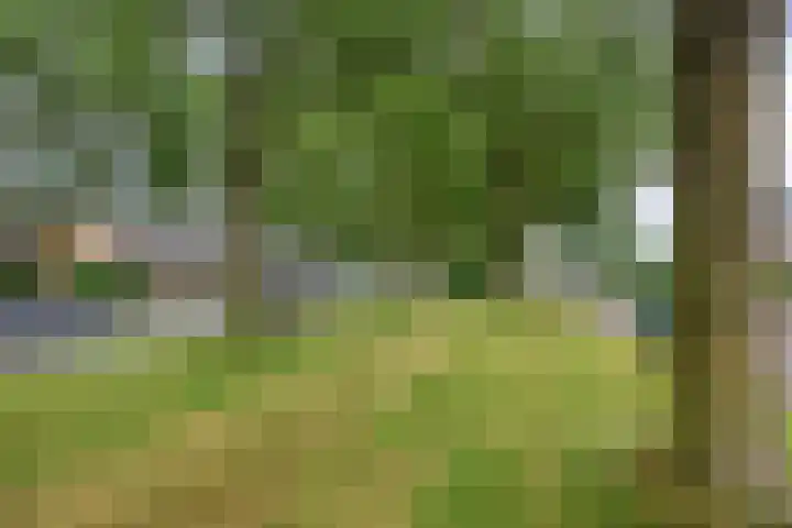 Dreef 22 Biddinghuizen thumbnail 47
