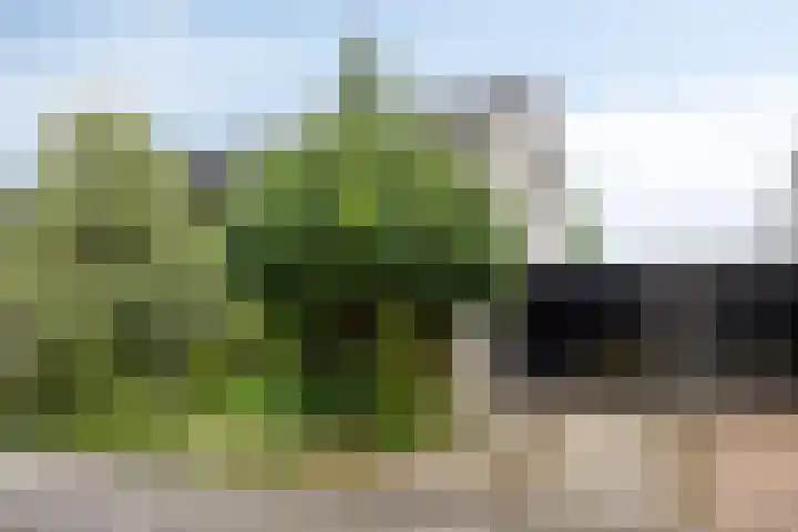 Dreef 22 Biddinghuizen thumbnail 6
