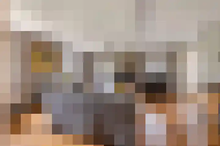 Dreef 22 Est thumbnail 11
