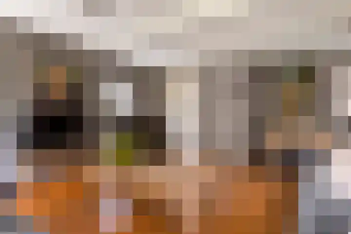 Dreef 22 Est thumbnail 12