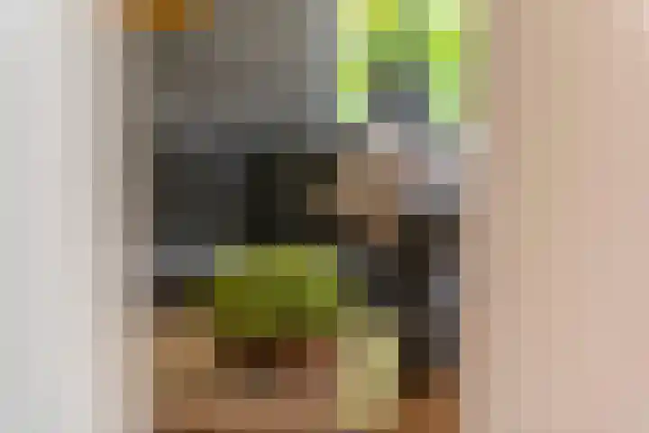 Dreef 22 Est thumbnail 13