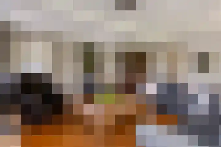 Dreef 22 Est thumbnail 14