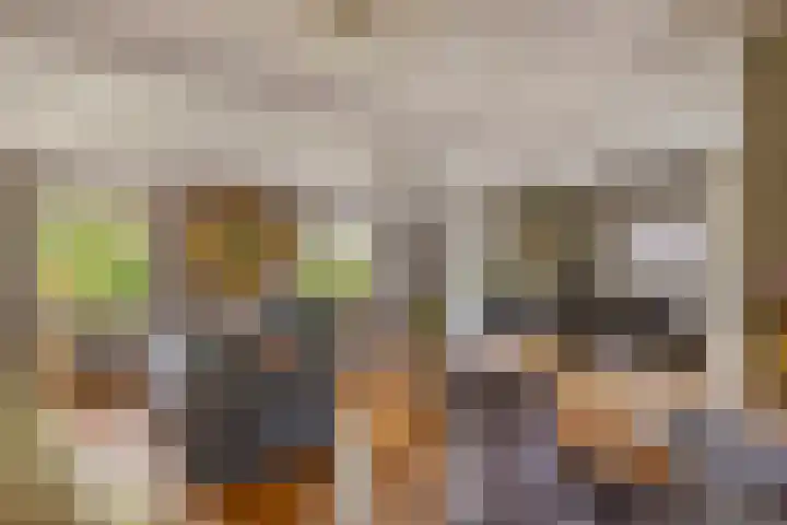 Dreef 22 Est thumbnail 17