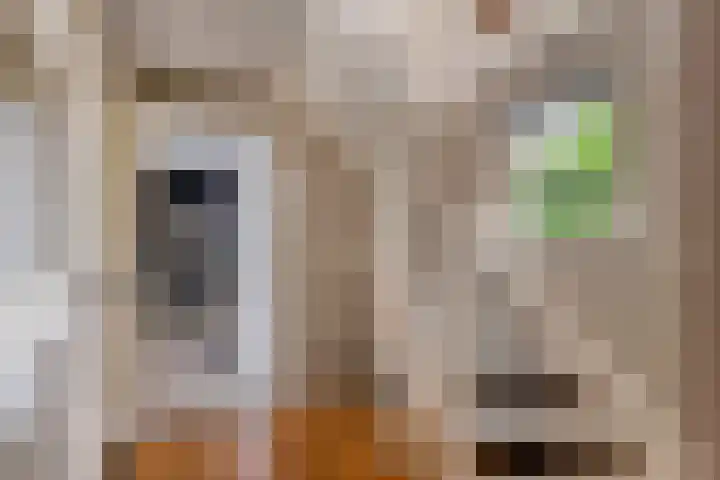Dreef 22 Est thumbnail 21