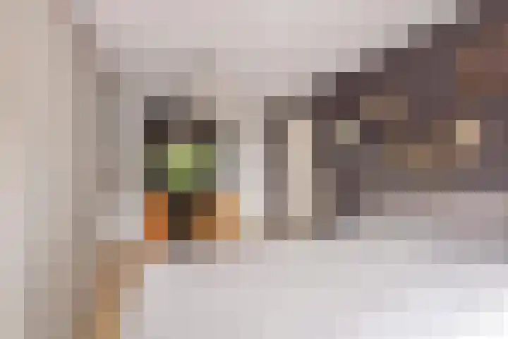 Dreef 22 Est thumbnail 23