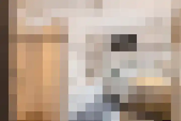 Dreef 22 Est thumbnail 24