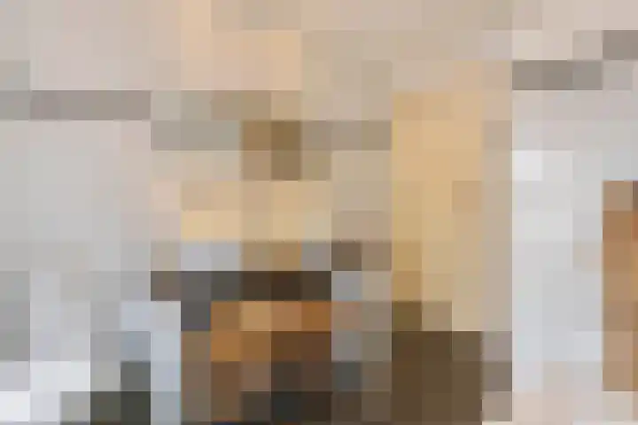 Dreef 22 Est thumbnail 25